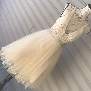 Glamour by Terani Couture Formal Cocktail Dress